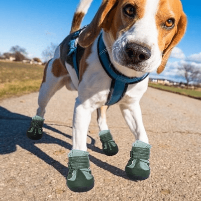 Chaussure pour Chien - DogBoots™ - Vert - Ziggi Chien Malin