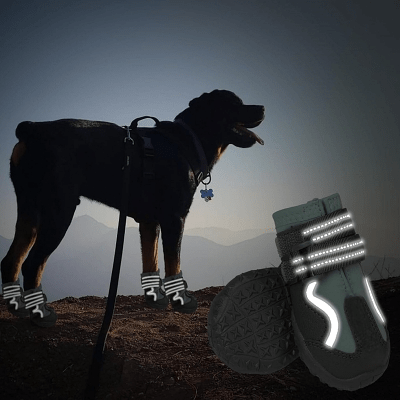 Chaussure pour Chien - DogBoots™ - Vert - Ziggi Chien Malin