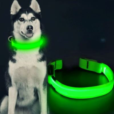 Collier de Chien - LEDCollarDog™ - Vert - Ziggi Chien Malin