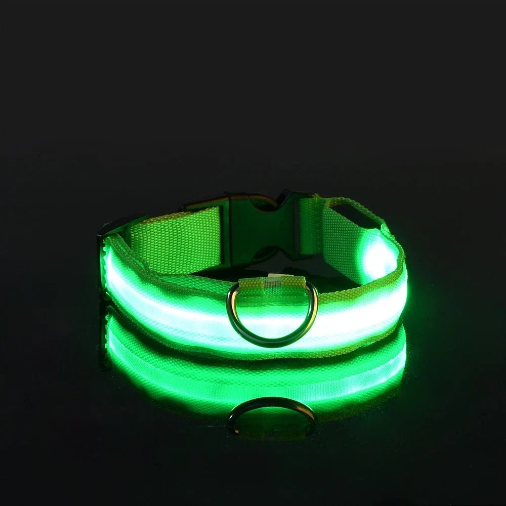 Collier de Chien - LEDCollarDog™ - Vert - Ziggi Chien Malin