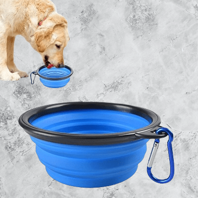 Gamelle pour Chien - SiliconeDogBowl™ - Bleu - Ziggi Chien Malin