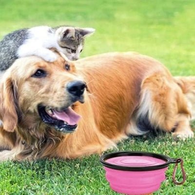 Gamelle pour Chien - SiliconeDogBowl™ - Pourpre - Ziggi Chien Malin