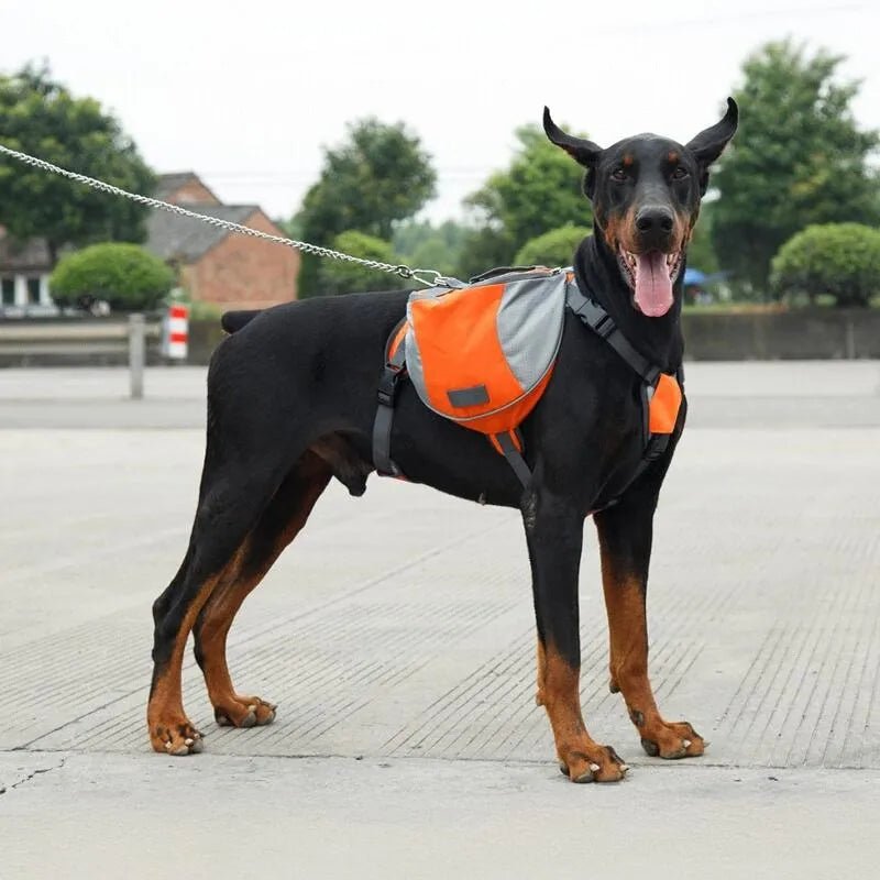 Sac de Voyage Chien - DogBackpack™ - Orange - Ziggi Chien Malin