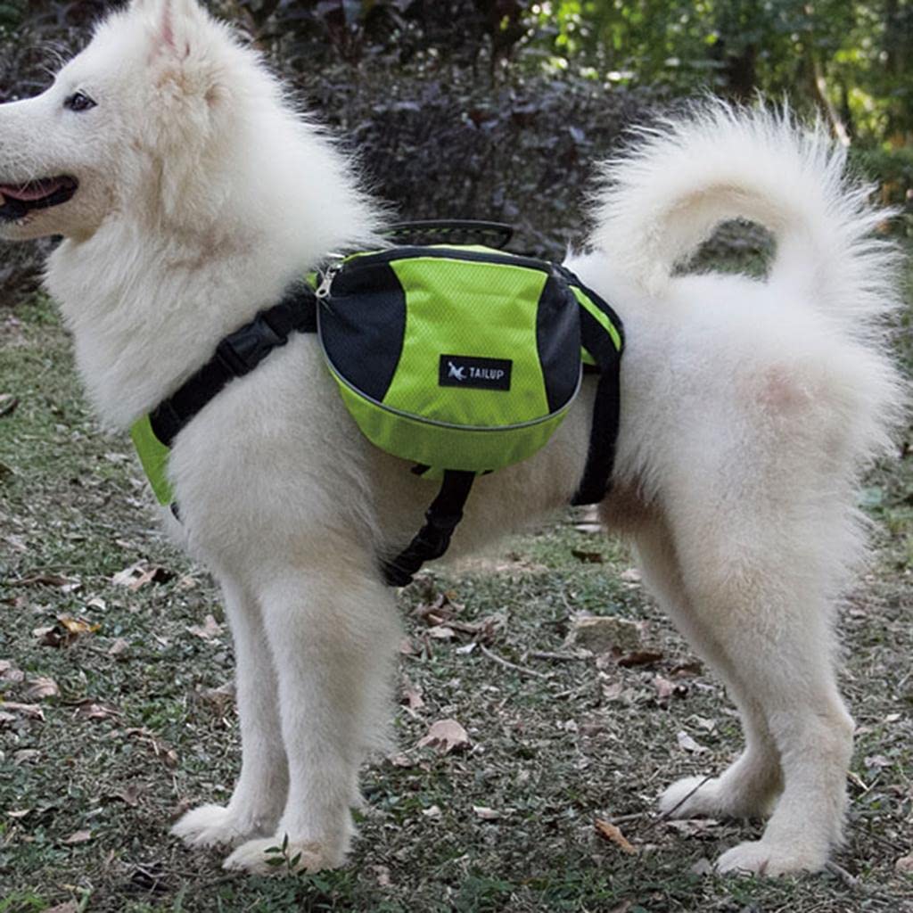 Sac de Voyage Chien - DogBackpack™ - Vert - Ziggi Chien Malin