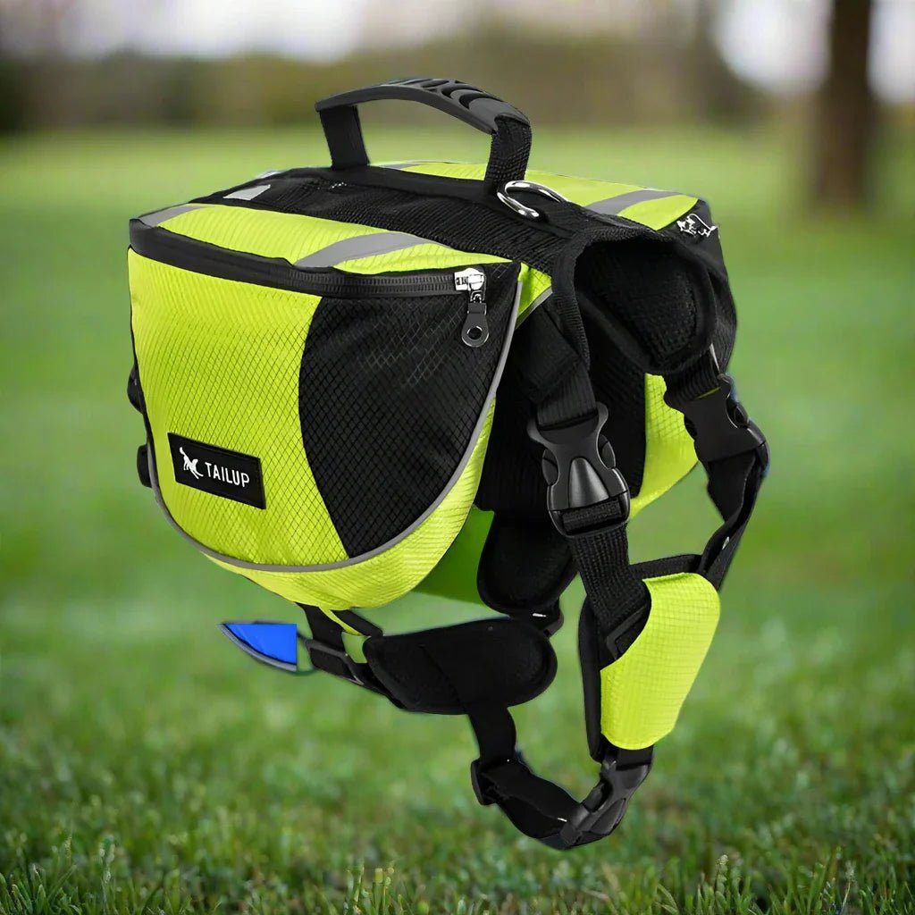 Sac de Voyage Chien - DogBackpack™ - Vert - Ziggi Chien Malin